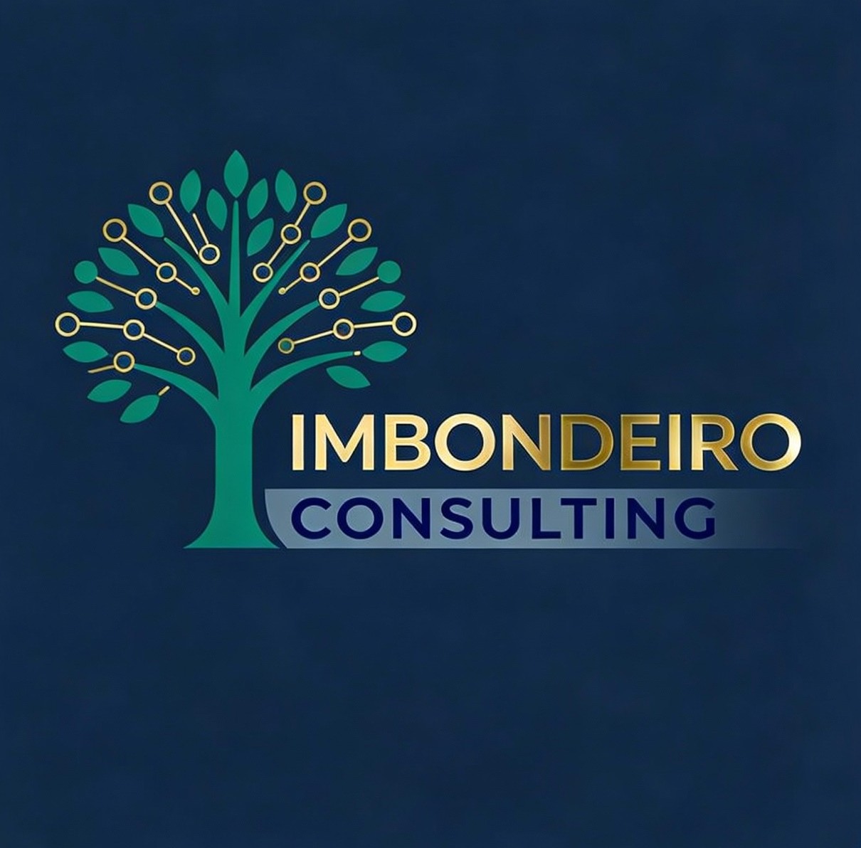 IMBONDEIRO Consulting